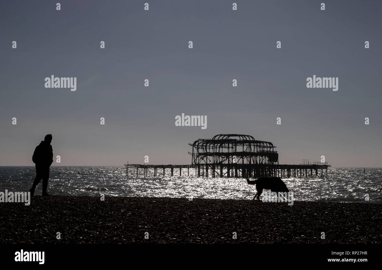 A dog walker passes the old pier in Brighton, Sussex. Stock Photo