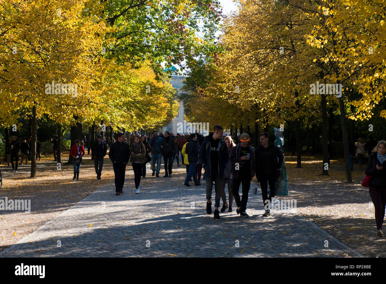 Berliners out for a nice walk in one of the urban parks, Tiergarten, during the fall when leaves are turning. In Berlin, Germany. Stock Photo