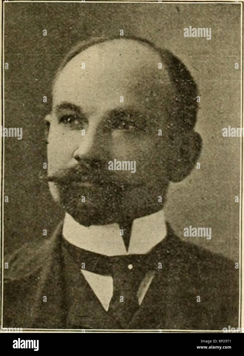 alamy
