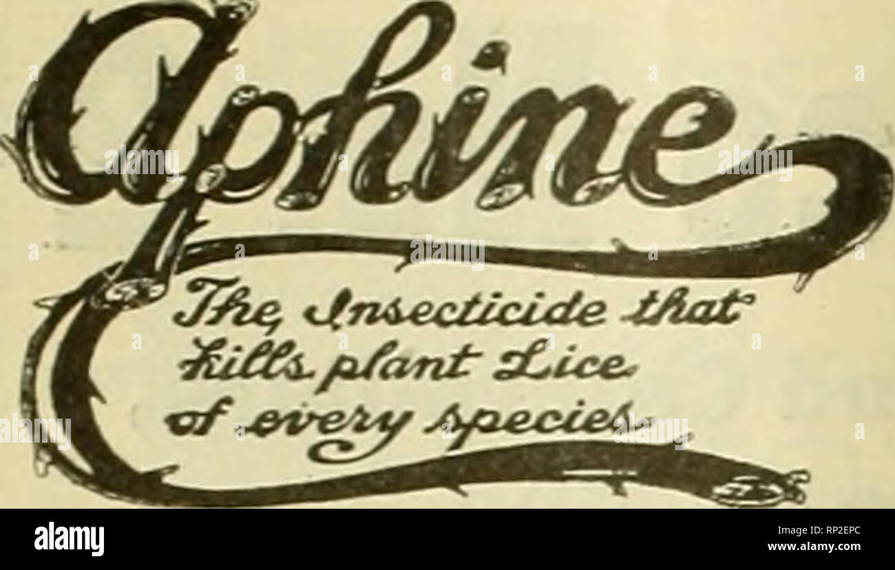 . The American florist : a weekly journal for the trade. Floriculture; Florists. 838 The American Florist. Oct. 26,. The Recognized Standard Insecticide. Not a cure-all. but a spu-cific remedy for all sap sucking insects infesting' plant life, such as ereen, black, white fly. thrips, red spider, mealy bug and soft scales. $1.00 per Quart. $2.50 per Gallon. An infallible remedy for mildew, rust and bench funci. Dr.rs not stain iho fr.liaee. 75c per Quart. $2.00 per Gallon. VERMINE A soil sterilizer and c&lt;:Tmicid.-. Destroys eel. cut. wire and grub worms, maggots, root lice and ants. Used 1 p Stock Photo