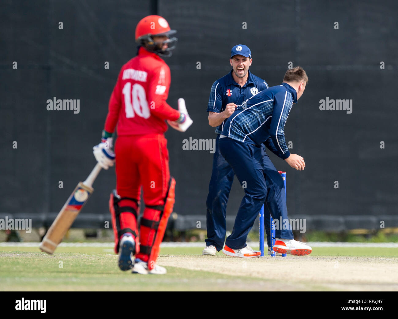 Muscat, Oman. 20th Feb, 2019. Pic shows: Oman's Jatinder Singh is run out for 30 as Oman comprehensively beat Scotland by 93 runs to tie the 3 match 50 over series. Credit: Ian Jacobs/Alamy Live News Stock Photo