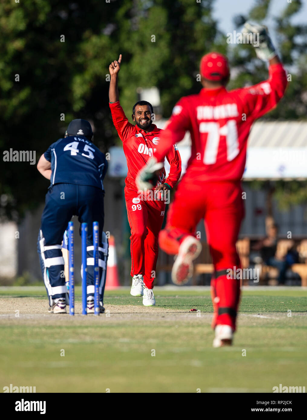 Muscat, Oman. 20th Feb, 2019. Pic shows: Oman's Muhammad Nadeem celebrates tasing the wicket of Scotland's Alasdair Evans for 10 runs as Oman comprehensively beat Scotland by 93 runs to tie the 3 match 50 over series. Credit: Ian Jacobs/Alamy Live News Stock Photo