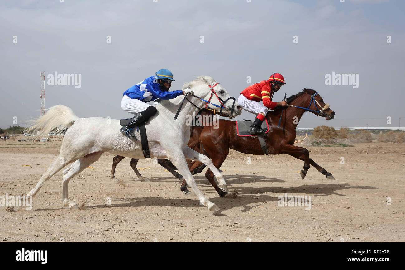 (190221) -- JERICHO, Feb. 21, 2019 (Xinhua) -- Palestinian equestrians ride their horses during a local competition in the West Bank city of Jericho, on Feb. 15, 2019. Once every two weeks prior to spring time in the West Bank, hundreds of Arabian horses and their riders gather at a horse riding competition for their spots in the 11th national championship scheduled for April. This year, nearly 200 original Arabian horses joined the qualification race which includes 13 categories. The equestrians need to ride their horses for a 1,000-meter race and compete for record timings. (TO GO WIT Stock Photo
