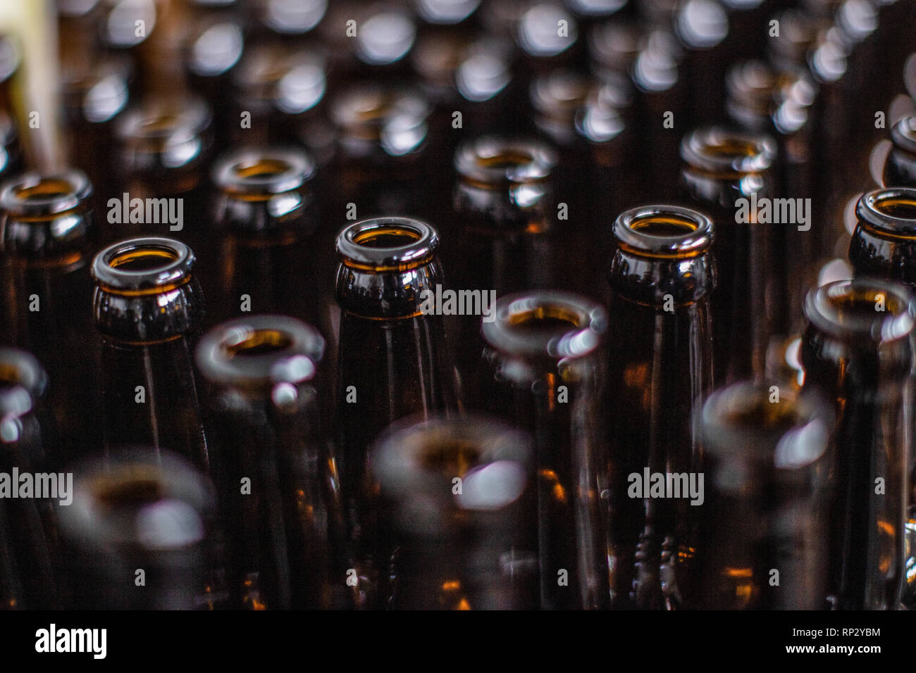 Taybeh, Palestine. Autonomous Areas. 06th Feb, 2019. 'Taybeh' beer bottles are prepared for bottling in the brewery near Ramallah. The family brewery 'Taybeh' was opened 25 years ago. (to dpa 'Palestinian woman brews beer according to German purity law' of 21.02.2019) Credit: Ilia Yefimovich/dpa/Alamy Live News Stock Photo