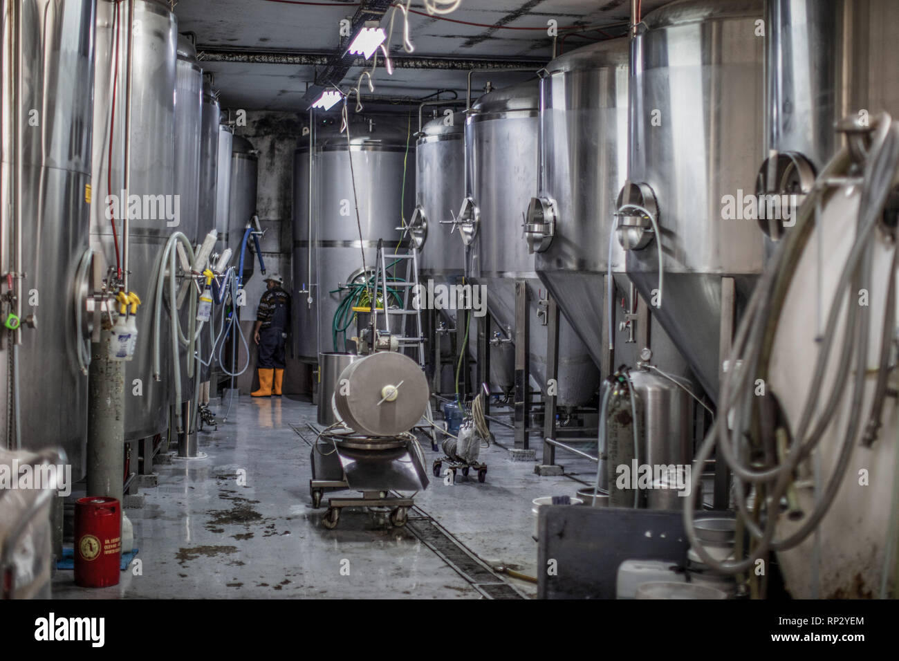 Taybeh, Palestine. Autonomous Areas. 06th Feb, 2019. Steel tanks in the brewery 'Taybeh' near Ramallah. The family brewery 'Taybeh' was opened 25 years ago. (to dpa 'Palestinian woman brews beer according to German purity law' of 21.02.2019) Credit: Ilia Yefimovich/dpa/Alamy Live News Stock Photo