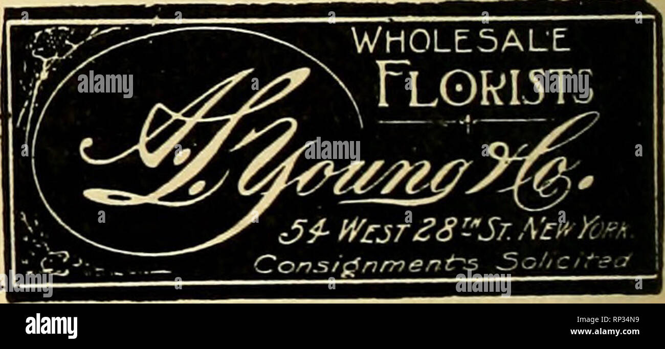 . The American florist : a weekly journal for the trade. Floriculture; Florists. Uention the American Florist lohen wriUne Telephone Farragat 2287 Nicholas G.Pappas&amp; Go. Wholesale Florists 110 W. 28th St., NEW YORK Mention the American Florist whenwriting. Mention the American Florist whenwriting famous boardwalk at Atlantic City, N. J. Those registering at the hotels at that resort included Otto Bauer, man- ager here for the S. S. Pennock Com- pany with Mrs. Bauer and their son and daughter; J. Harper Hetherington and wife and their little one, and J. Louis Loose and wife. &quot;William M Stock Photo