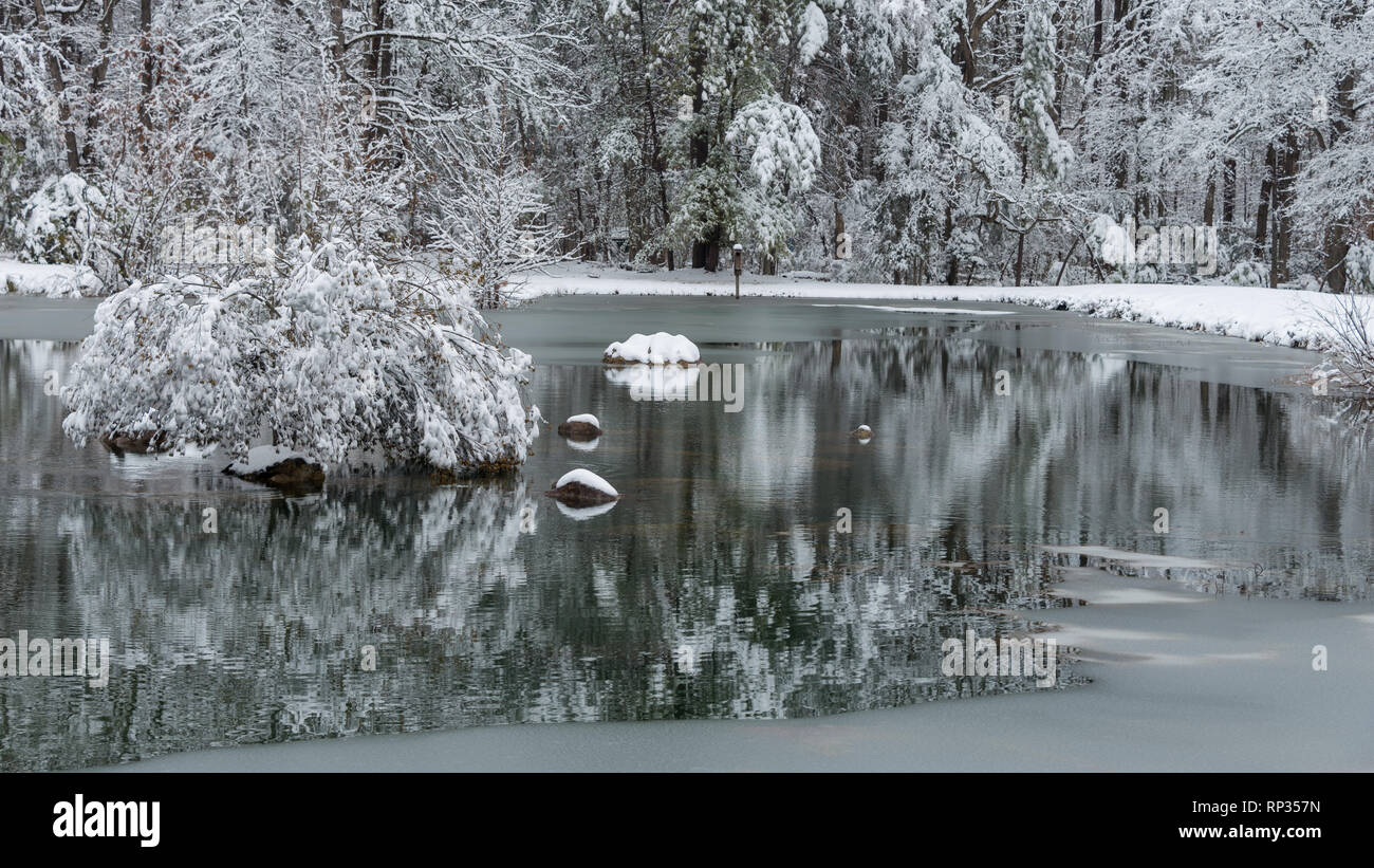 Snow covered rocks and trees in pond after snow storm Stock Photo