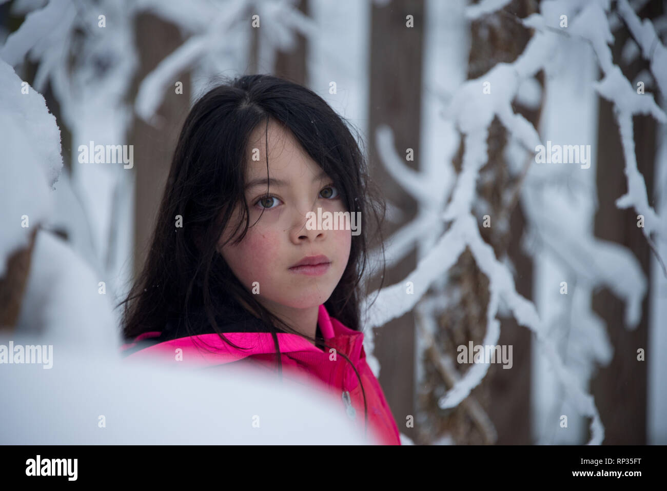 Young Asian girl standing behind snow covered branches in pink jacket Stock Photo