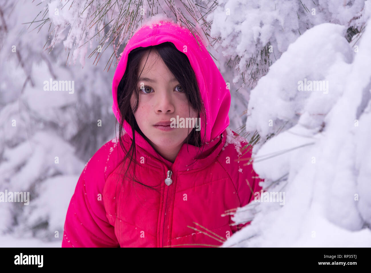 Young girl standing in snow covered trees with pink jacket Stock Photo