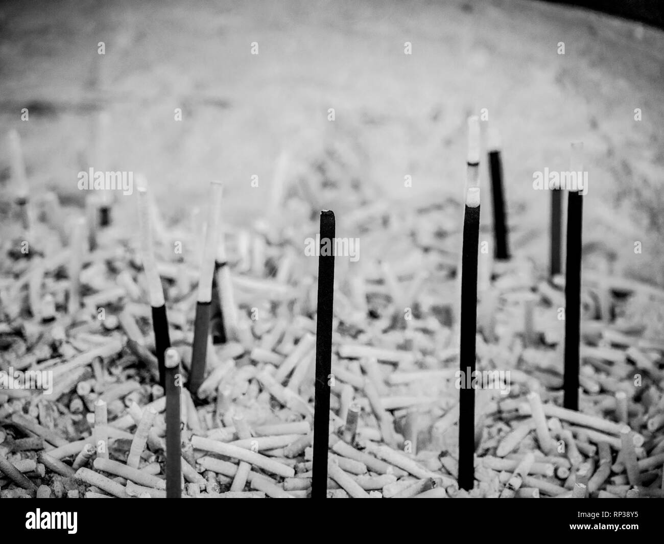 Religious incense sticks at a Japanese Temple Stock Photo Alamy