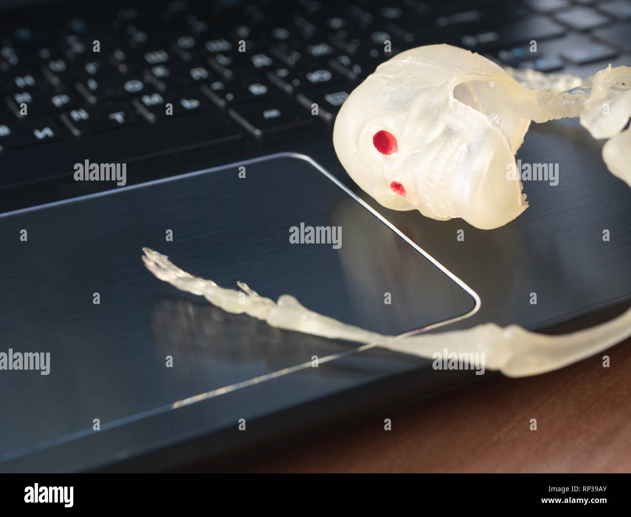 human skeleton head lay on laptop. fall asleep or dead office employee overwork concept. take a break at workplace Stock Photo