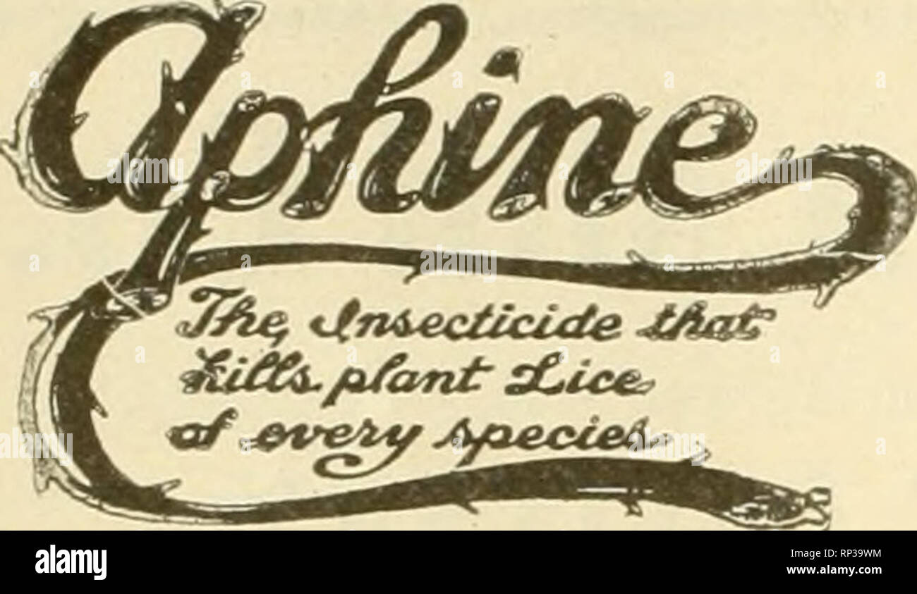 . The American florist : a weekly journal for the trade. Floriculture; Florists. 94 The American Florist. Aug. a NICO-FUME )} LIQUID SPRAYING—VAPORIZING  FUMIGATING A-slt: Seedssinen for PAPER I^i^ioo» Manufactured by THE KENTUCKY TOBACCO PRODUCT CO., Incorporated, LouisviUe, Ky,. The Kecognized Standard Insecticide For frreen, black, white Hy, red spider, thrips mealy bus and soft scale. Can be used on tender plants. $1.0u per Quart; $2.50 per Gallon. FUNGINE For mild-=w, rust and other blights. It is perfectly safe to apply to fruits and vejietables. as it is Don poisonous. An iLfallible re Stock Photo