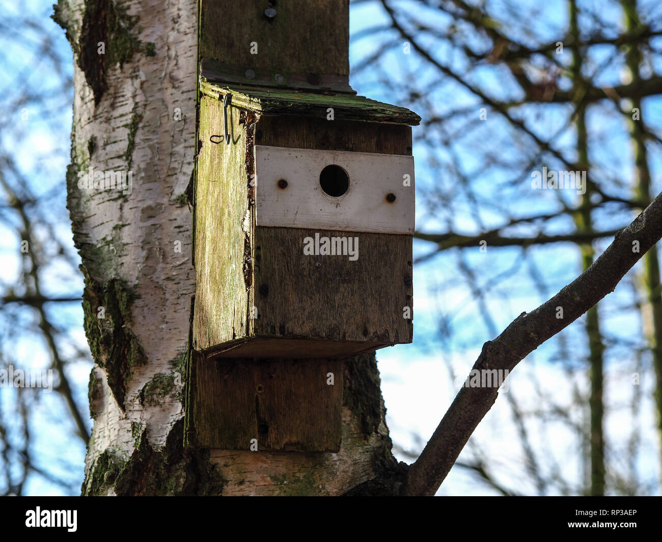 Bird nesting box attached to an old tree trunk with rough bark in a