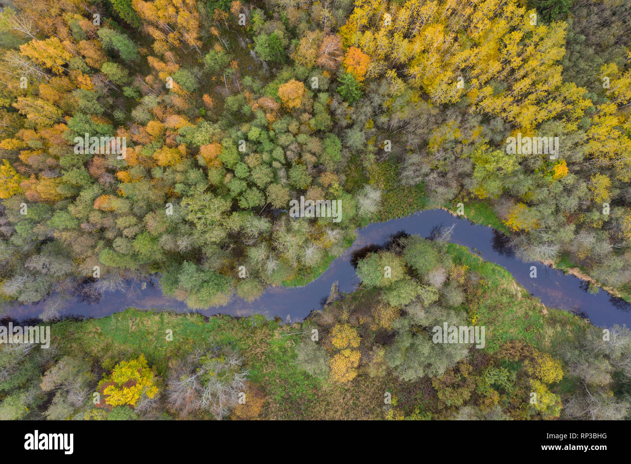 Aerial view to Amme river in autumn, Europe, Estonia Stock Photo