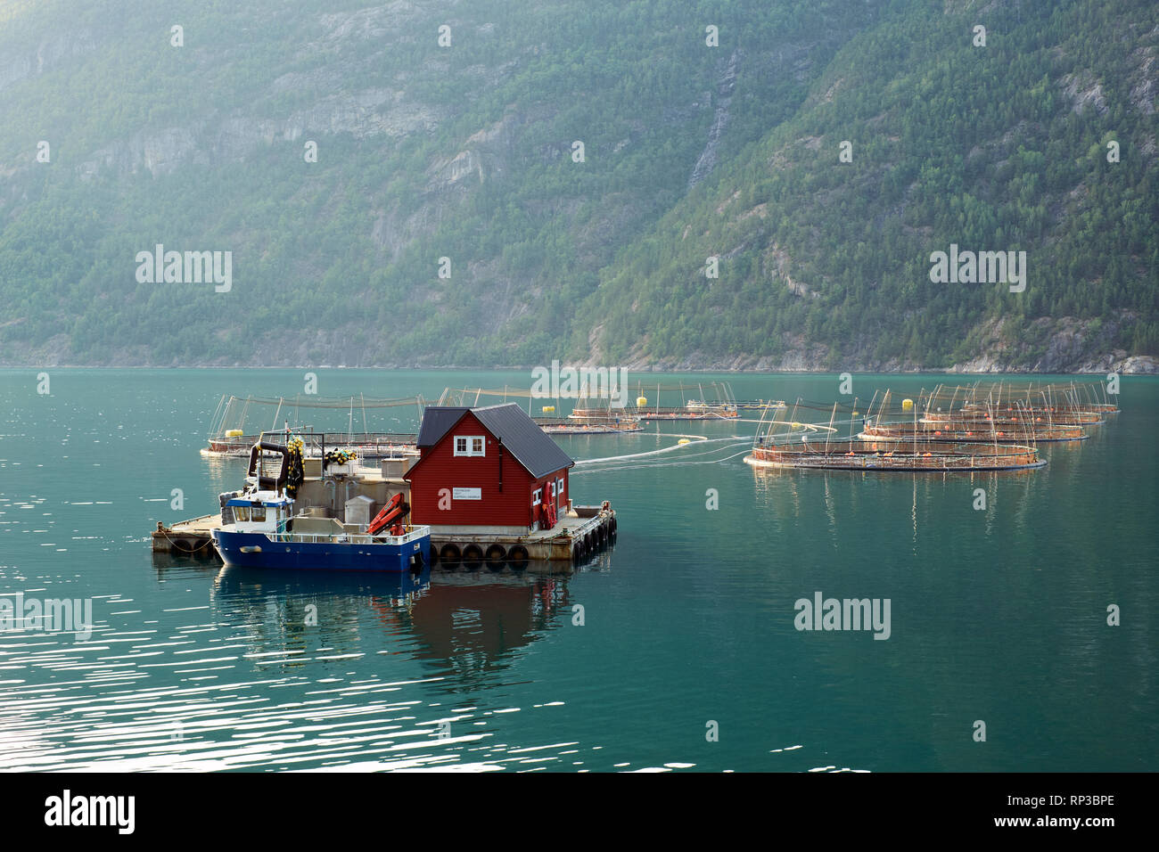 A typical floating aquaculture Salmon fish farm in a Norwegian fjord. Stock Photo