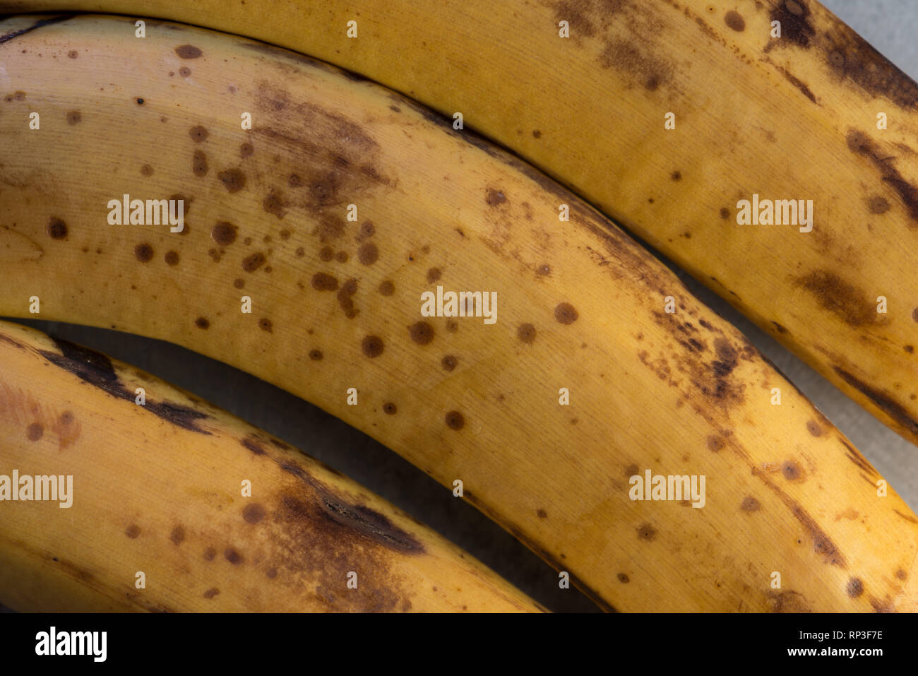 Breakdown of chlorophyll hires stock photography and images Alamy