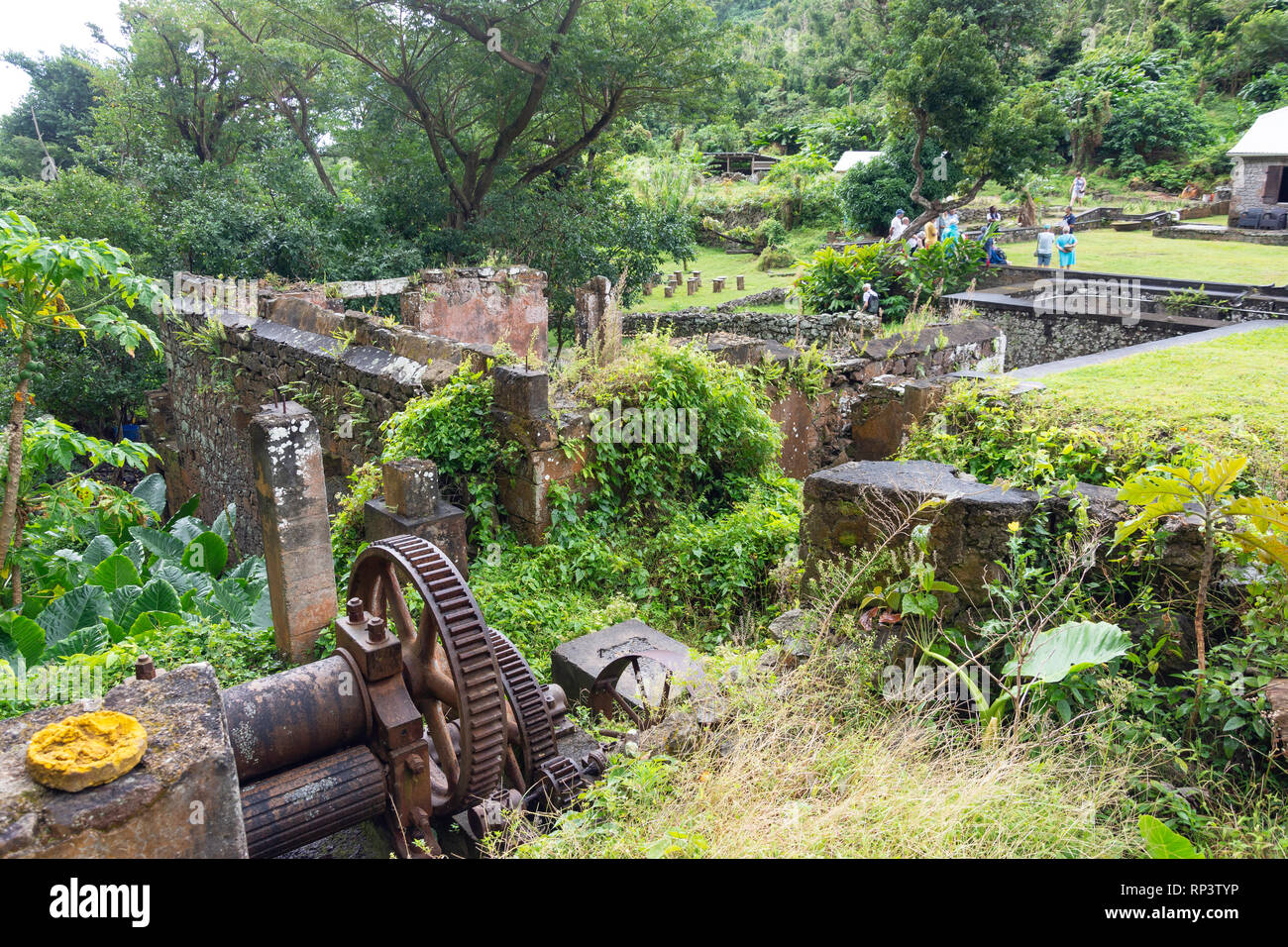 Remnants of sugar processing production, Bois Cotlette Plantation, Morne Plat Pays, Saint Mark Parish, Dominica, Lesser Antilles, Caribbean Stock Photo