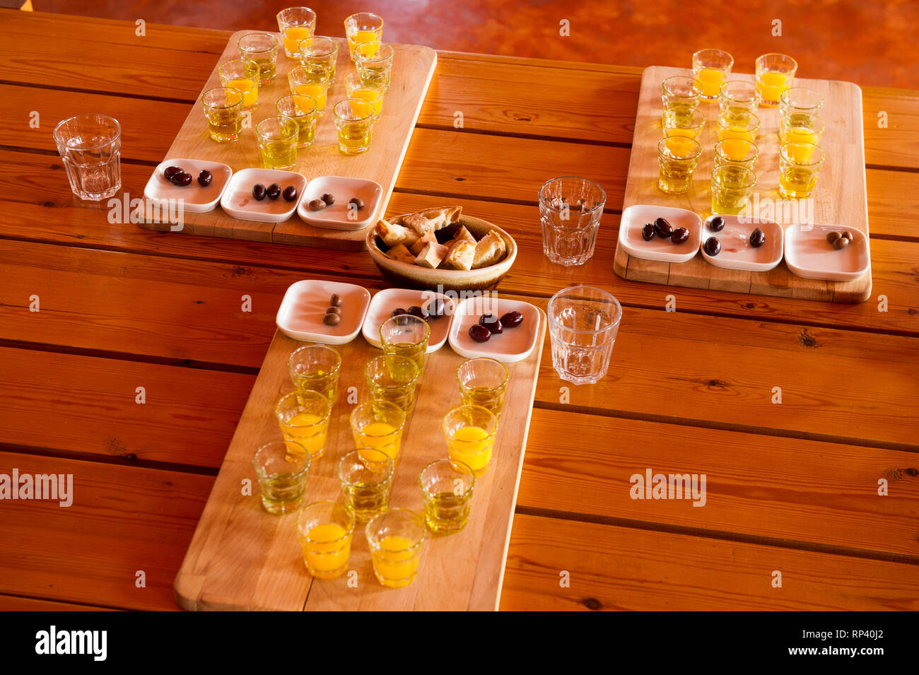 Olive oil tasting at an organic olive farm, the Peloponnese, Greece