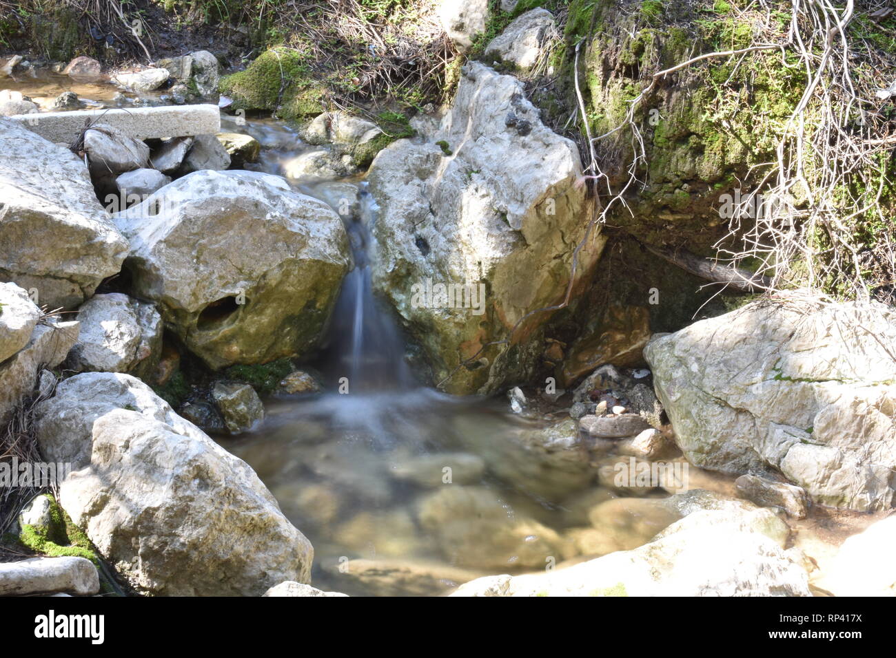 Streamlet in the forest Stock Photo