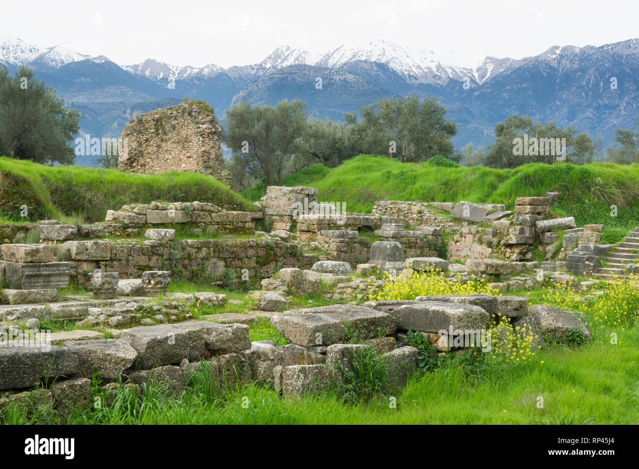 Ancient sparta hires stock photography and images Alamy