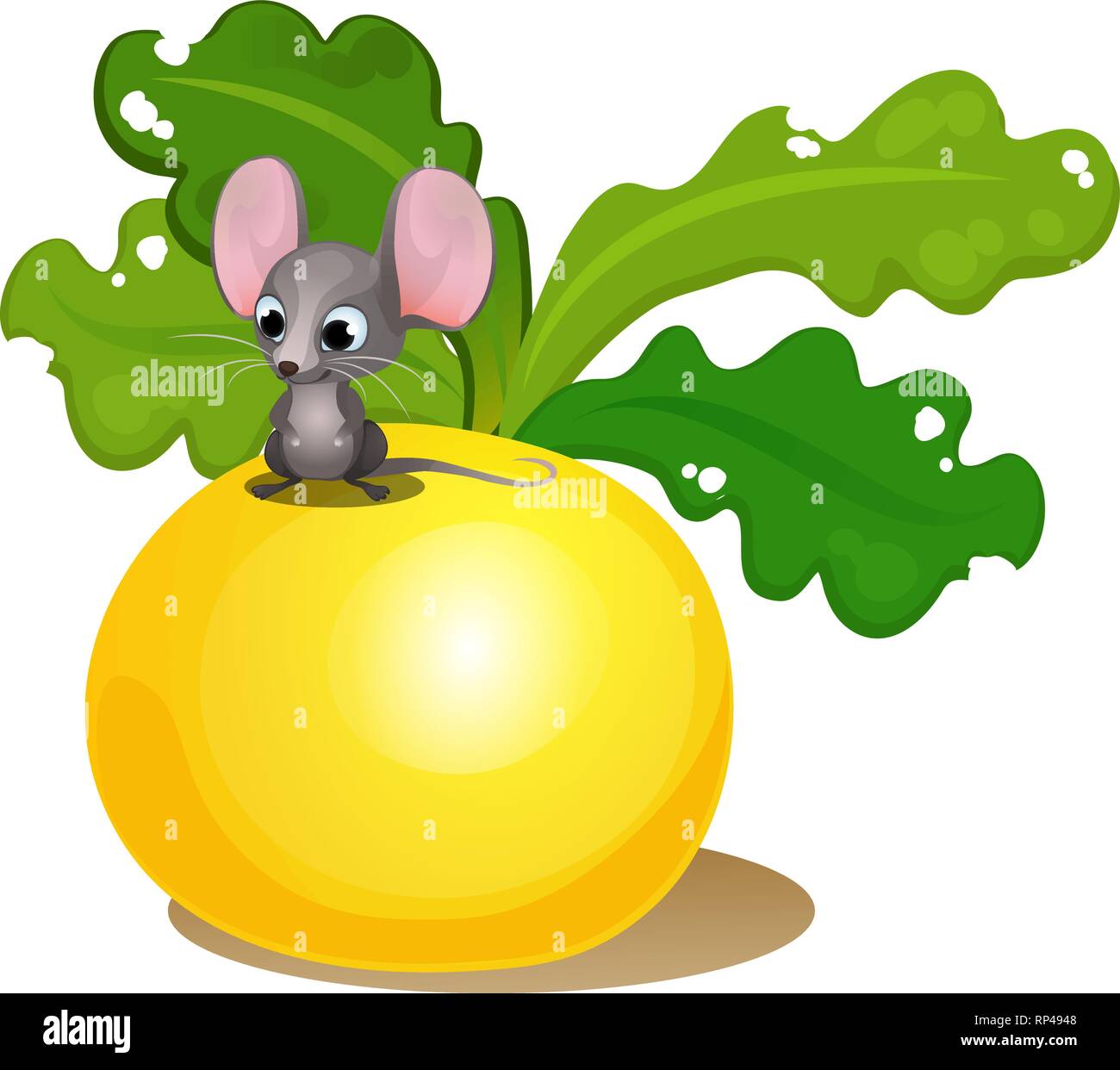Ripe turnips and a small mouse isolated on white background. Vector cartoon close-up illustration. Stock Vector