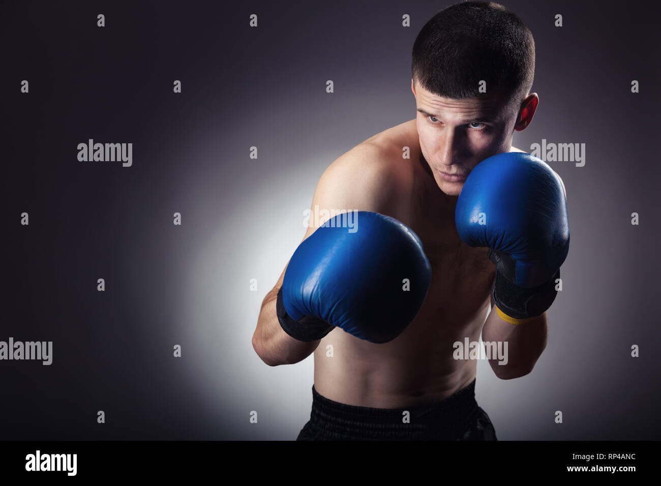 Boxing concept. Boxer with an aggressive look in blue boxing gloves before a fight against a black background Stock Photo