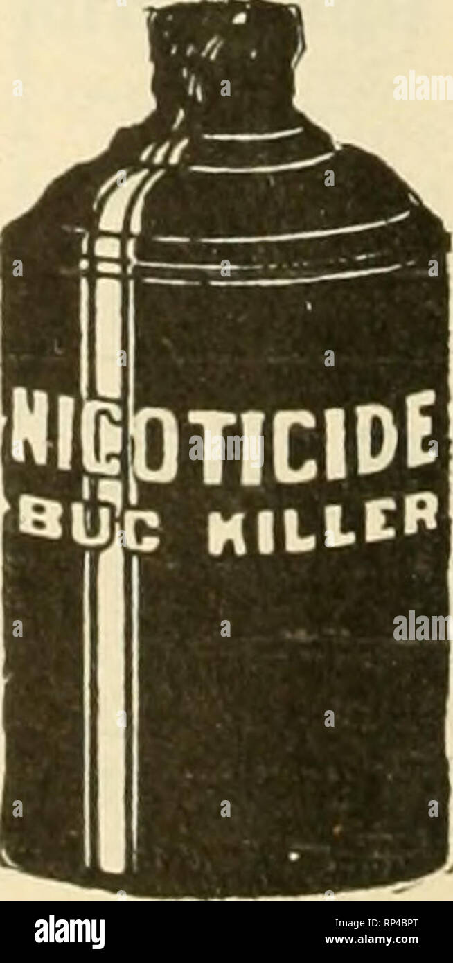 . The American florist : a weekly journal for the trade. Floriculture; Florists. NIKOTEEN 30 &quot;&quot;lo Strength FOR SPRAYING APHIS PUNK for Eumigating Ask Your Dealer for It. NICOTINE MFG. CO., ST. LOUIS, MO. Mention the American Florist when writina C-L-A-Y-A-'-S These simple symbols spell CERTAIN SUCCESS CLAY'S FERTILIZER, the Standa-d Plant Fo&quot;d. is Safe, Sure. &lt;Juick&quot; yet Continuous—in Action, and Economical. Manufactured by CLAY &amp; SON, Stratford, London, England Mention the American Florist when writing :BK/iNb! llflNllRES Unequaled for greenhouse and landscape ferti Stock Photo