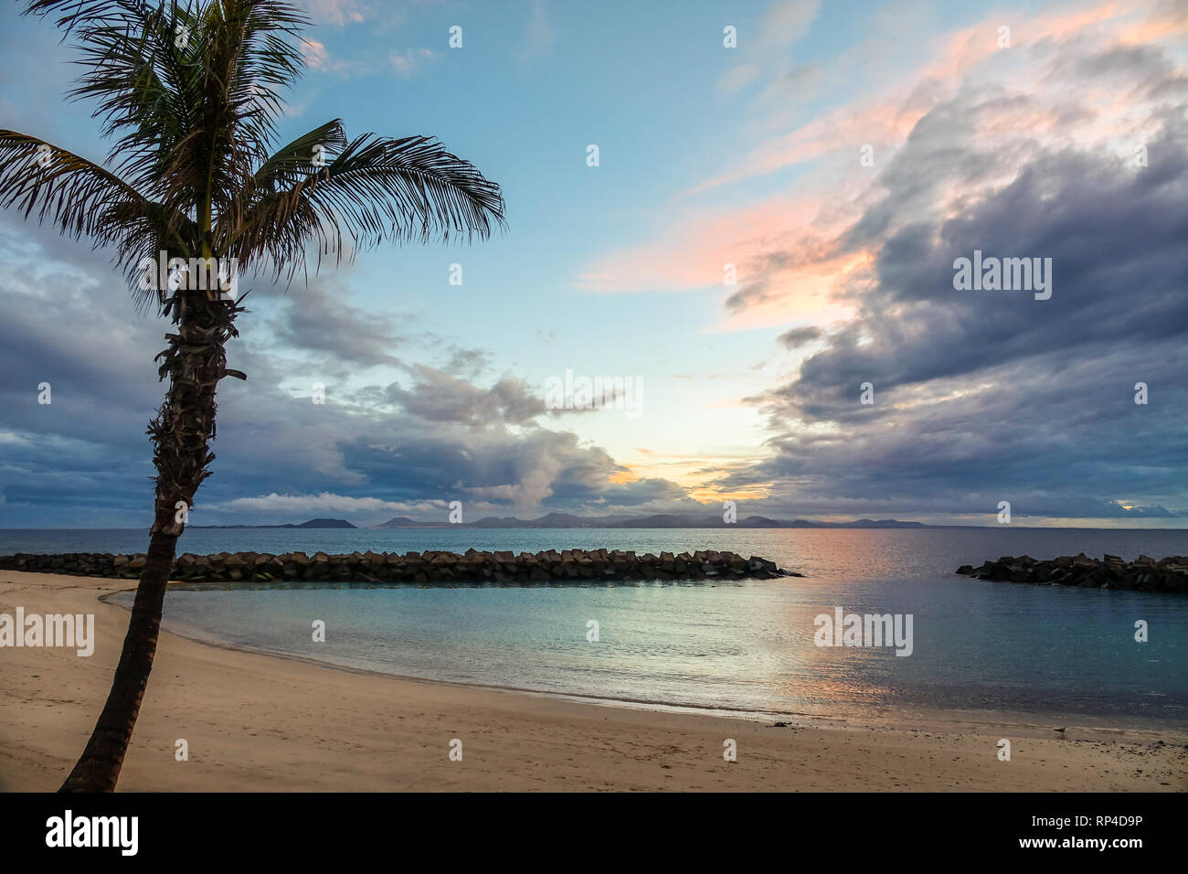 Beach and palm tree in sunset. Stormy dark clouds in the background. Stock Photo