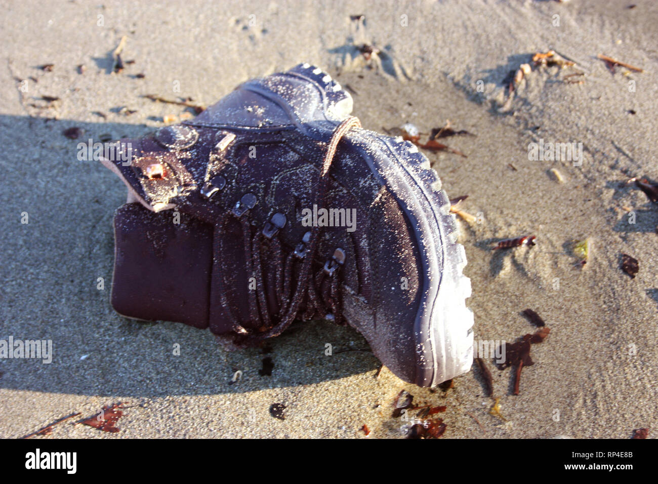Abandoned Shoe High Resolution Stock Photography and Images - Alamy