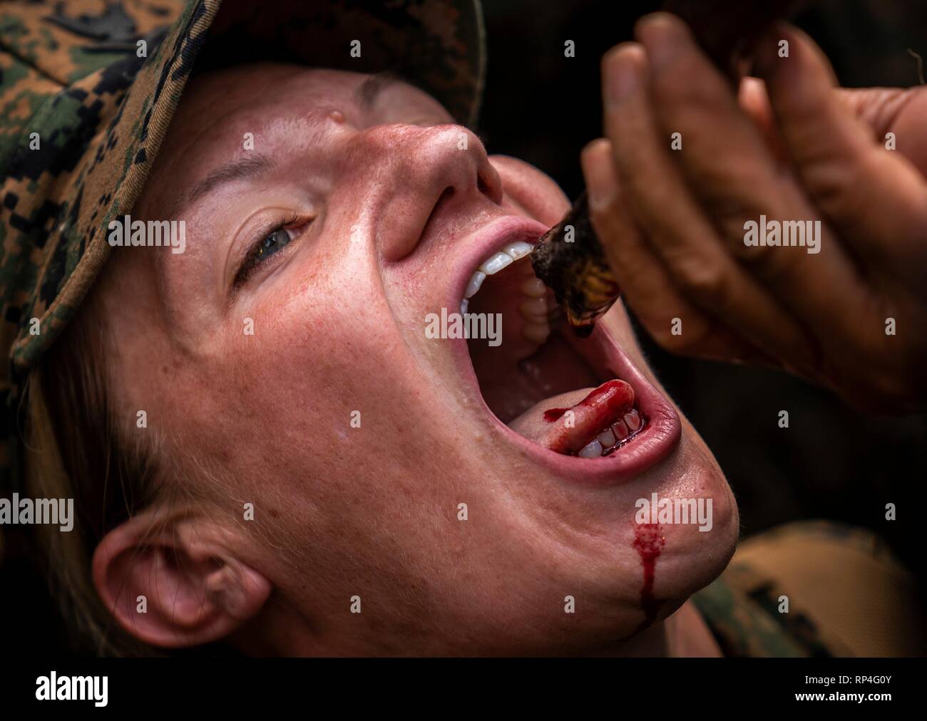 A U.S. drink the blood of a king cobra during jungle survival training as part of Cobra Gold 19 at the Ban Chan Krem training area February 14, 2019 in Chantaklem, Thailand. Cobra Gold is the largest annual joint military cooperation exercise in the Indo-Pacific region. Stock Photo