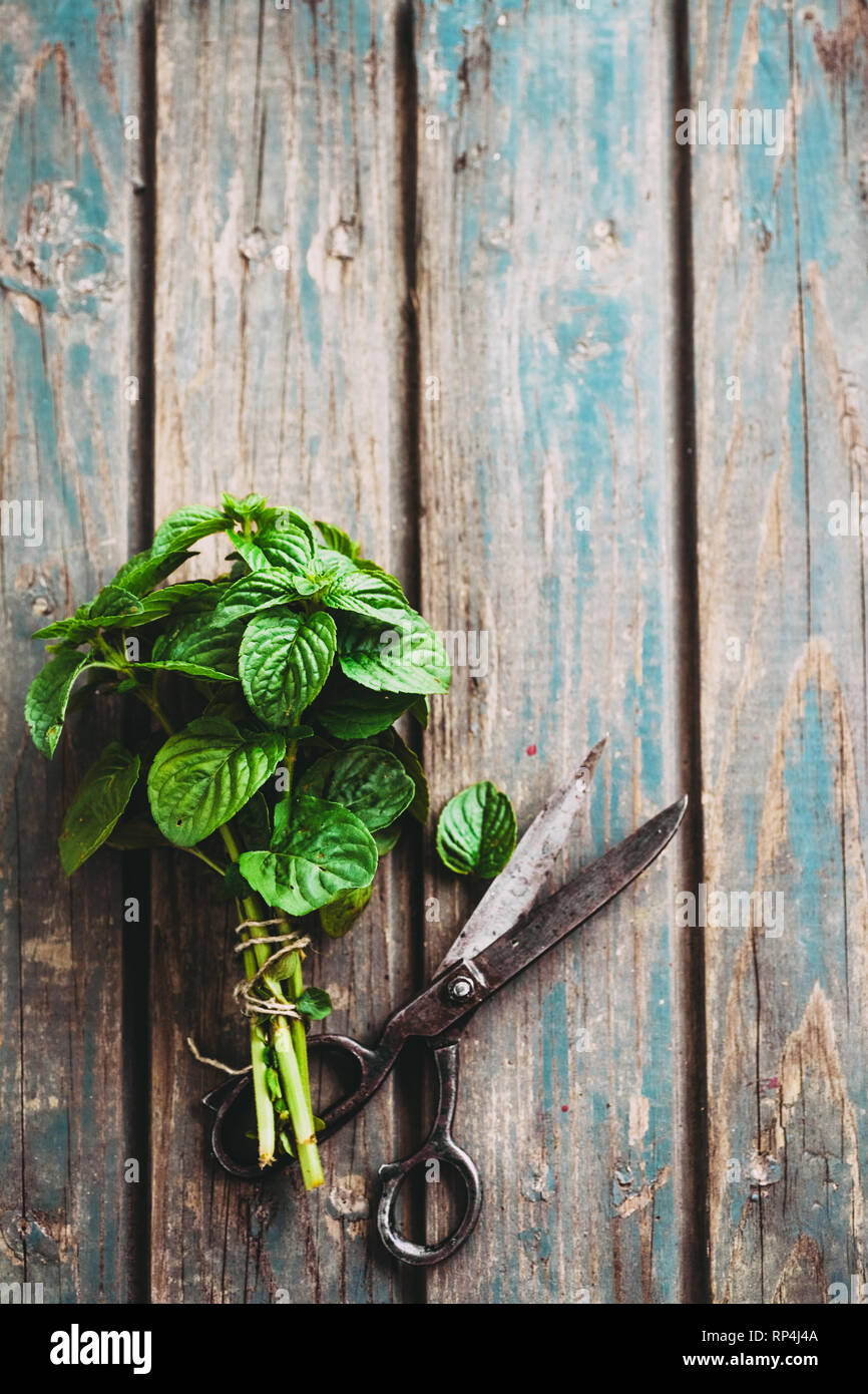 Fresh herbs. mint in rustic setting. Fresh mint on table Stock Photo