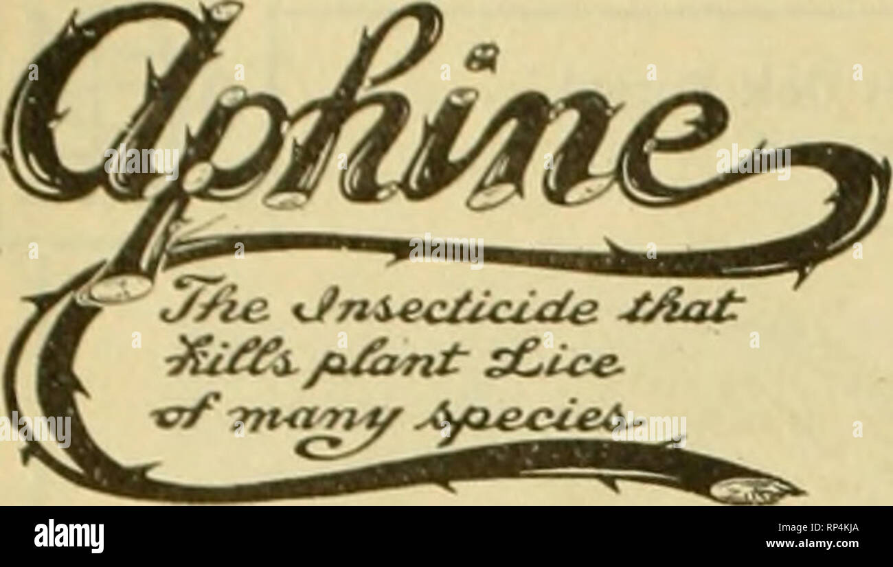 . The American florist : a weekly journal for the trade. Floriculture; Florists. 110 The American Florist. Jan. 2g,. The Recognized Standard Insecticide A spriiy remedy for green, black, white fly, thrips aud soft senle. Quart. $1.00. Gallon, $2.50. FUNGINE An iii'ullible spray reinedyjor rose mildew caruaiion uud chrvsauLhenunn rusi. Quart, 75c. Gallon. $2.00. VERMINE A soil sterilizer for cut, eel, wire and angle worms. Quart, $1.00. Gallon, $3.00. SCALINE For San .lose aud  :i rious scale on trees and hardy stock. Quart, 75c. Gallon, $1.50. NIKOTIANA A 1296 nicotine solution properly dilut Stock Photo
