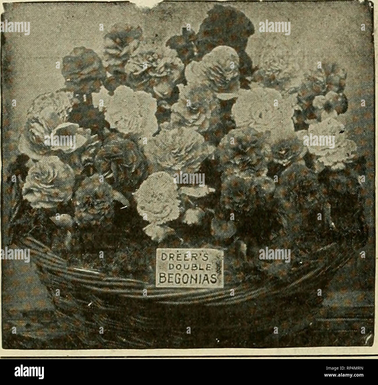 j22 high resolution stock photography and images alamy