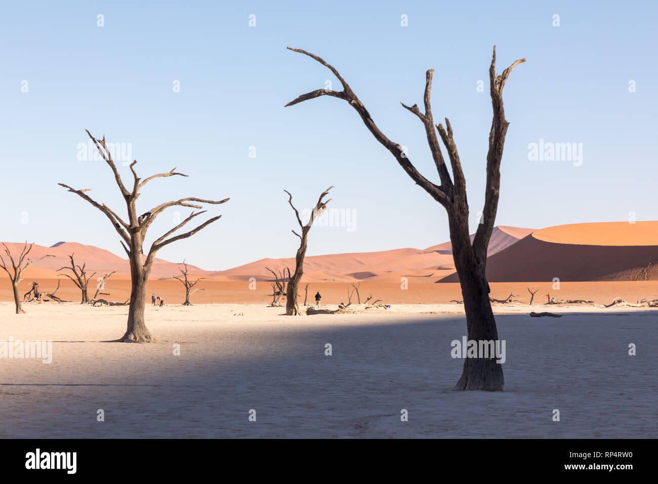 Dune Front Stock Photos Dune Front Stock Images Page 3 Alamy
