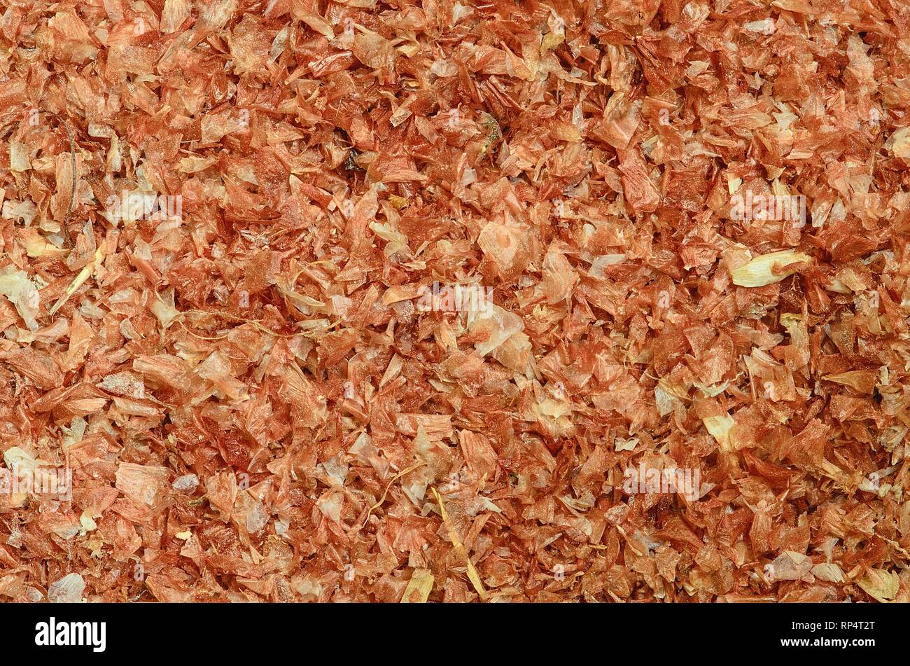 Corn waste and corn dust. Indian corn. Closeup. Background. Macro image