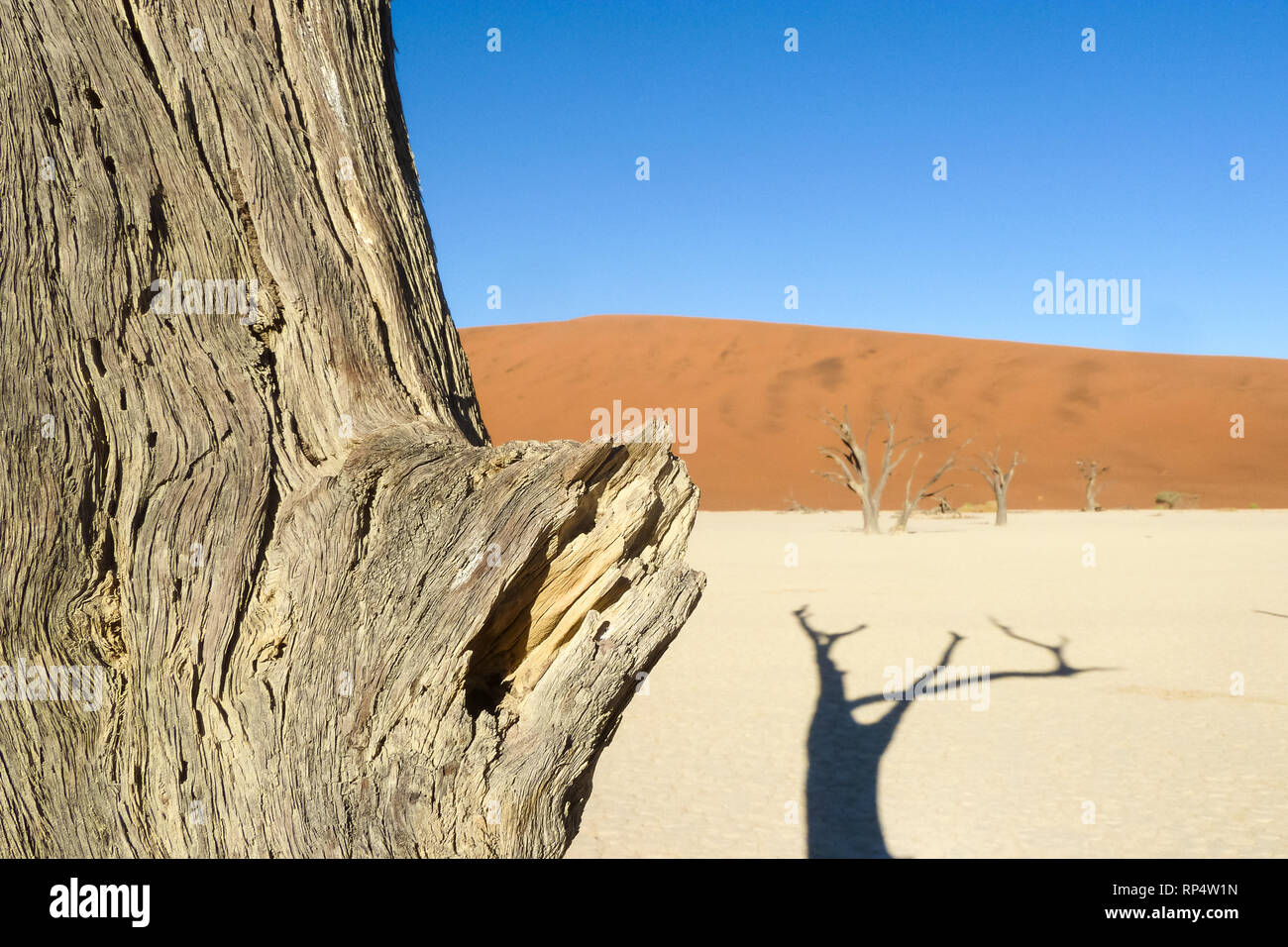 Dune Front Stock Photos Dune Front Stock Images Page 3 Alamy