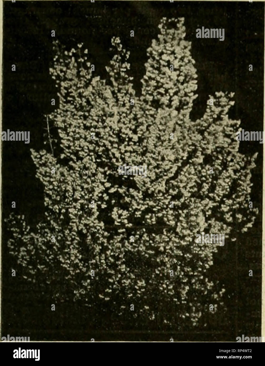 Page 323 N A R T High Resolution Stock Photography And Images Alamy