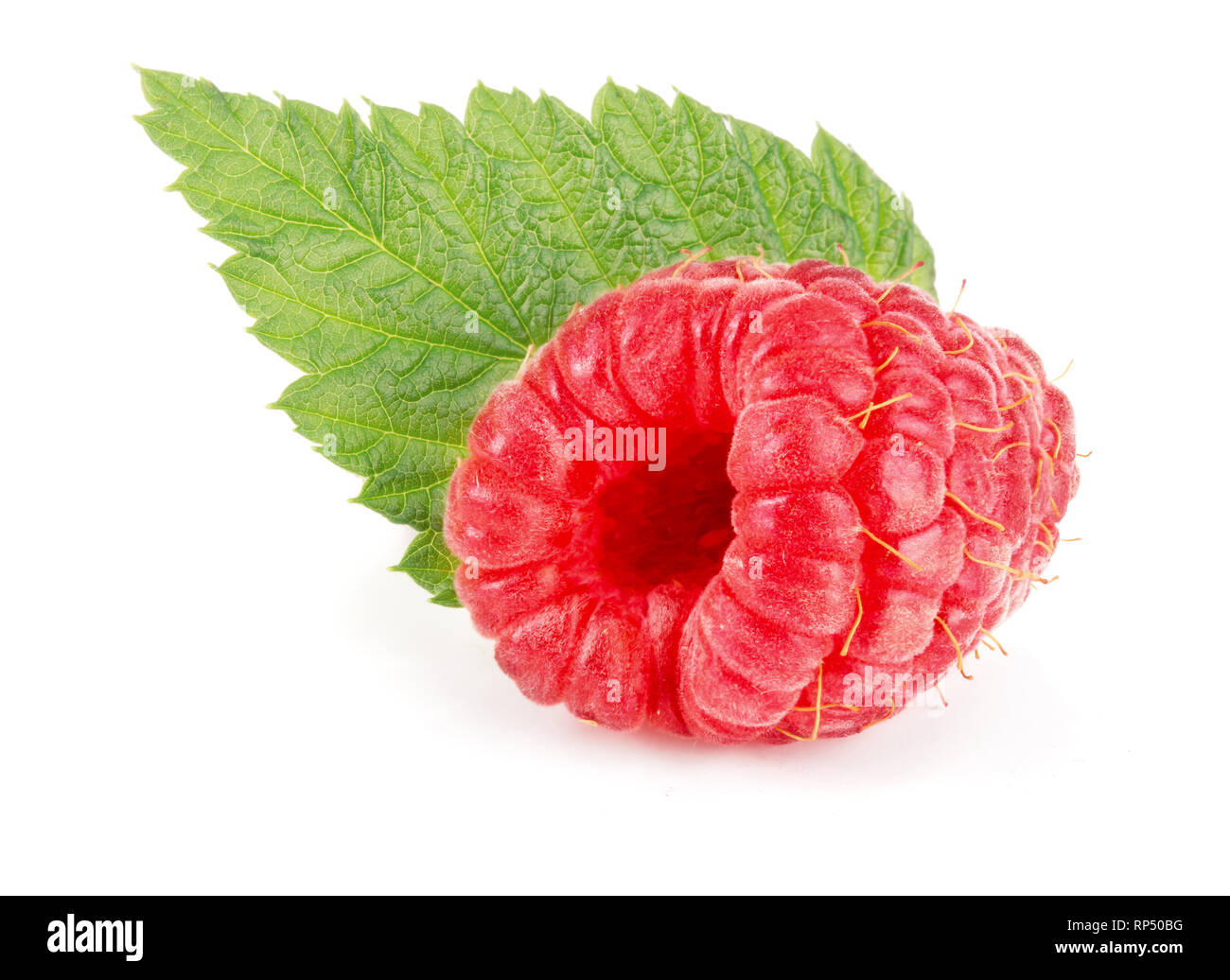 One raspberry with leaf isolated on white background macro Stock Photo ...
