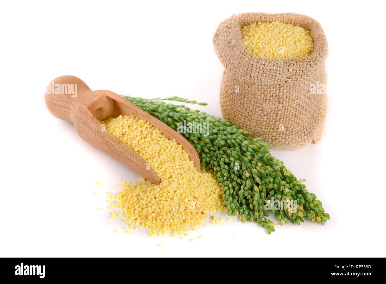 Millet in a bag and scoop with green spikelets isolated on white