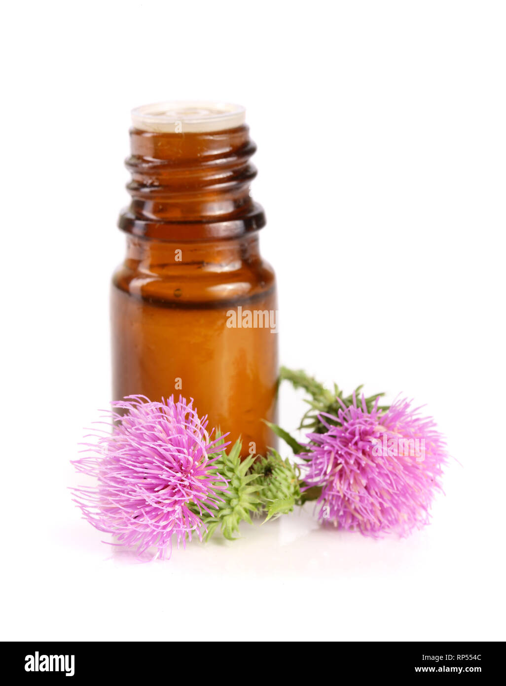 thistle oil and milk thistle flower isolated on white background. Stock Photo