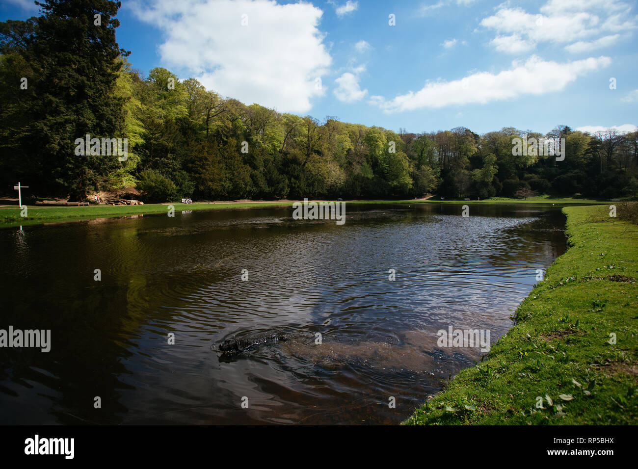 Studley Royal Park Gardens, North Yorkshire Stock Photo