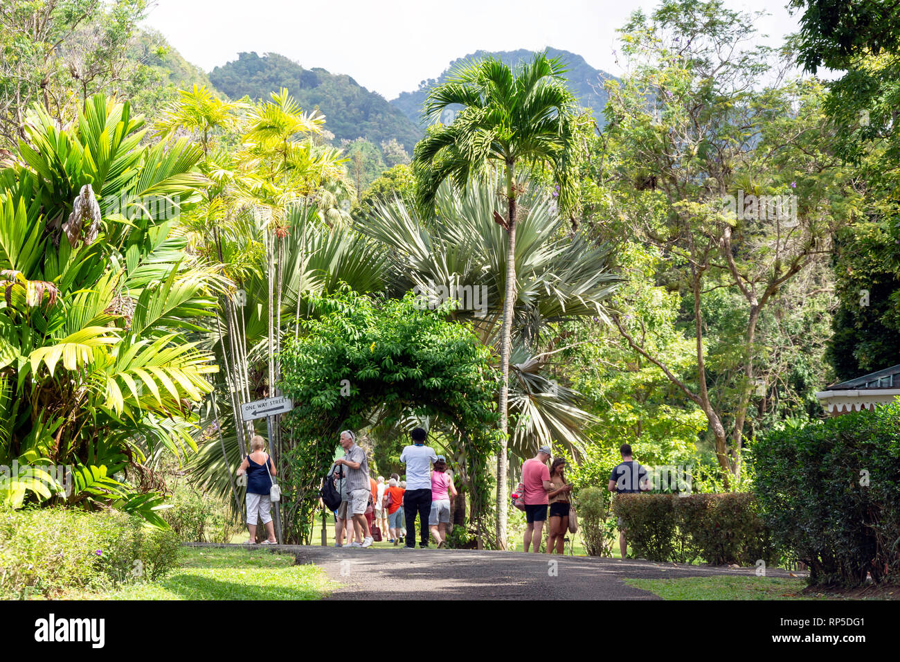 Saint vincent botanical gardens native trees ecosystem tour grou hires