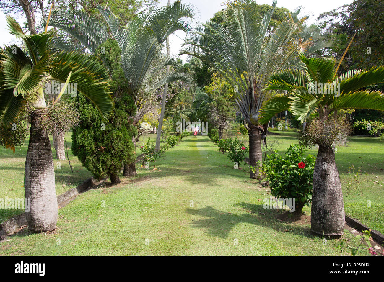 Saint Vincent Botanical Gardens, Kingston, Saint Vincent and the