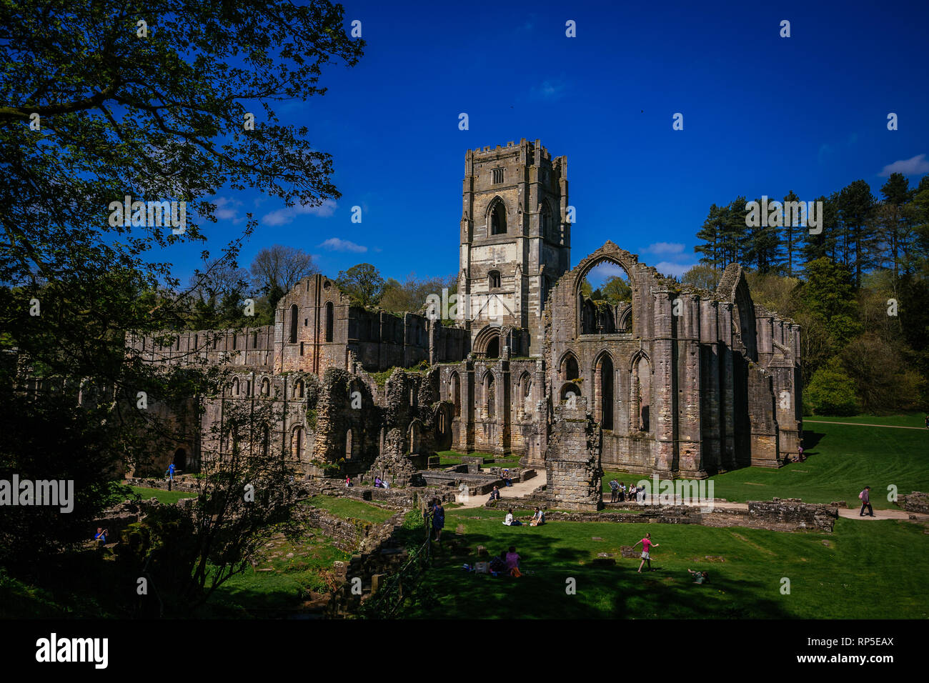 Fountains Abbey, North Yorkshire Stock Photo Alamy