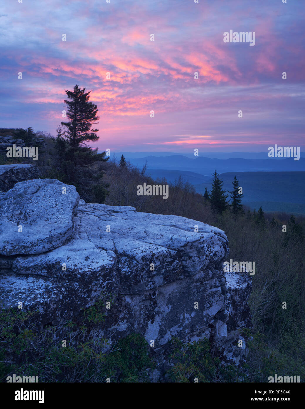 Sunrise over Bear Rocks at Dolly Sods Wilderness in the Allegheny Mountains of West Virginia Stock Photo