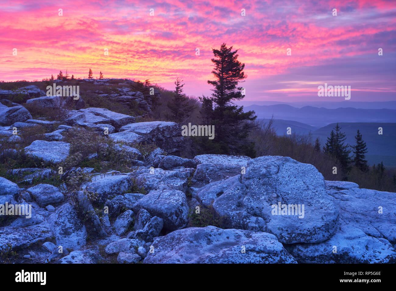 Sunrise over Bear Rocks at Dolly Sods Wilderness in the Allegheny Mountains of West Virginia Stock Photo