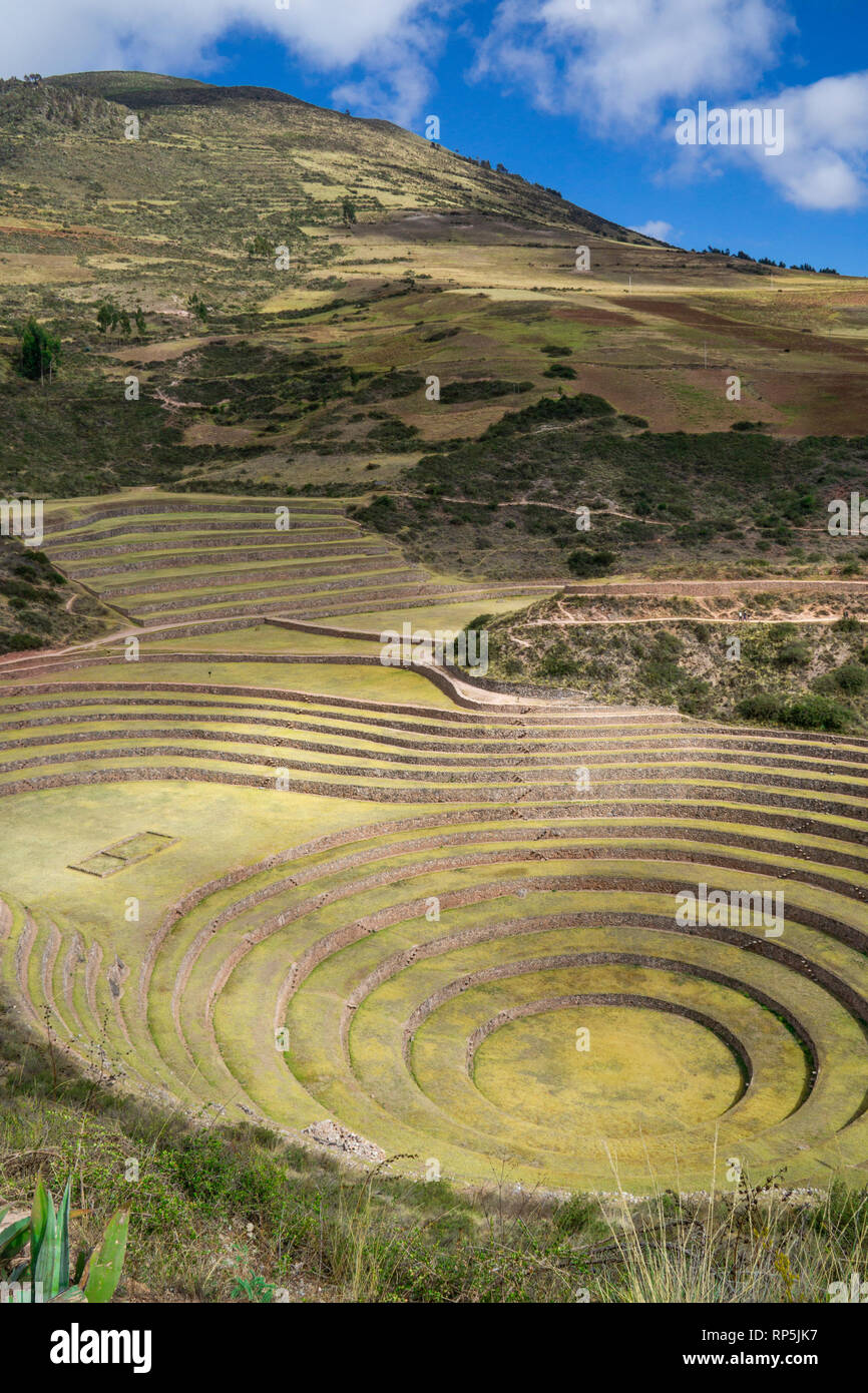 Circular terraced ruins at Moray in Sacred Valley, Cusco Region, Peru, with blue sky. Stock Photo