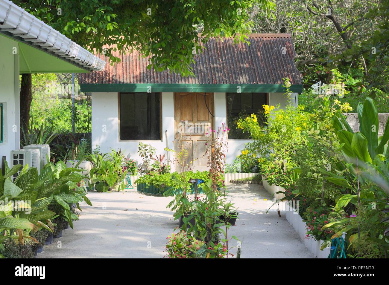 Garden of a maldivian house (Ari Atoll, Maldives Stock Photo Alamy