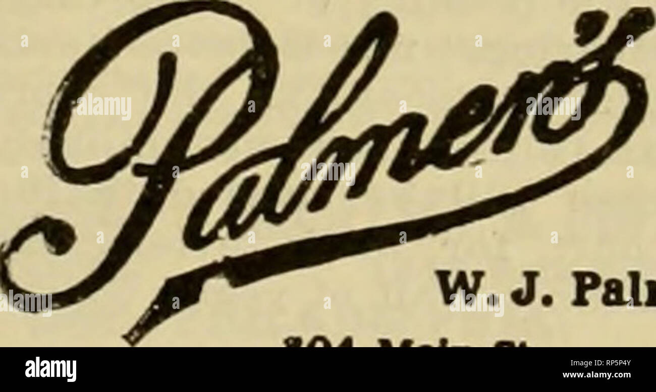 The American Florist A Weekly Journal For The Trade Floriculture Florists Albany N Y Flovrers Or Design Work Delivered In Albany And Vidnity On Telegraphic Order 11 North Pearl Street
