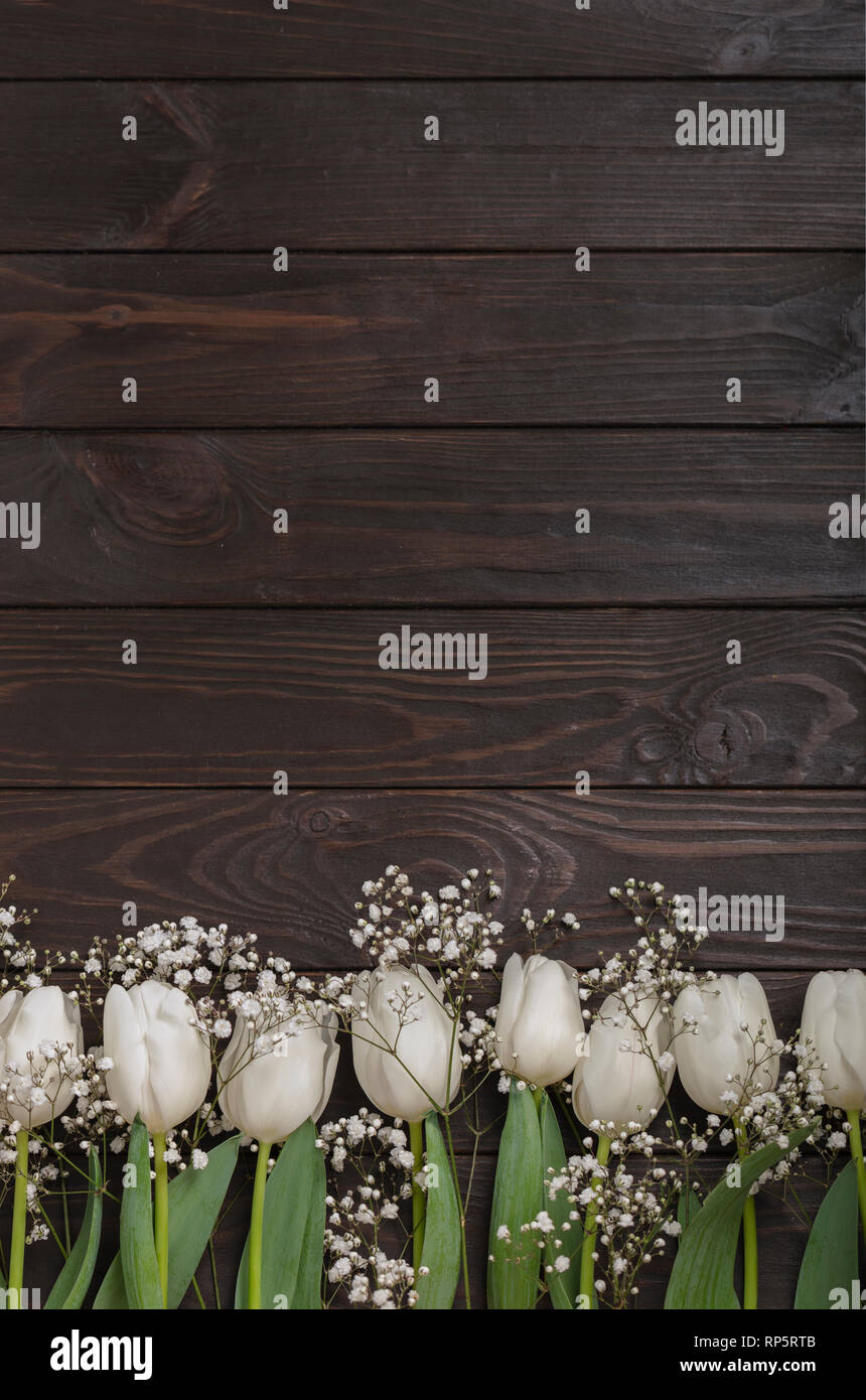 White tulips on a brown wooden background. View from above. Selective